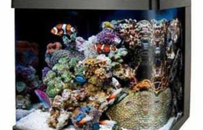 coralife-biocube.jpg