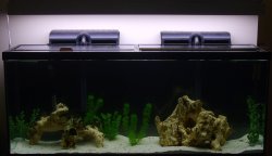 55gallon 0182.jpg