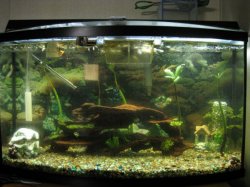 46gallon1.jpg