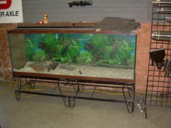 150g-aquarium.jpg