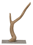 mounted driftwood.gif