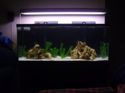 55gallon%20001.JPG