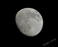 New%2520Moon-2.jpg