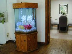 awww.aquarium_design.com_tank_images_marilyntank01.jpg