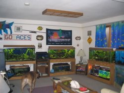 aimg.photobucket.com_albums_v420_BV77_Fishroom041405.jpg