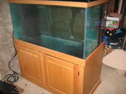 ai213.photobucket.com_albums_cc254_muds_fish_120_20gallon_Tank1.jpg