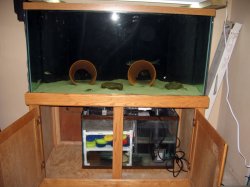 ai213.photobucket.com_albums_cc254_muds_fish_120_20gallon_120_gallon_017.jpg