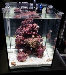 new-saltwater-nano-reef-tank.jpg