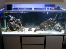 ai228.photobucket.com_albums_ee283_kbekl_4FT_20Tank_007_1.jpg