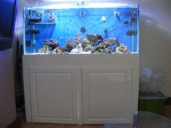 ai228.photobucket.com_albums_ee283_kbekl_4ft_207_20tank_033.jpg